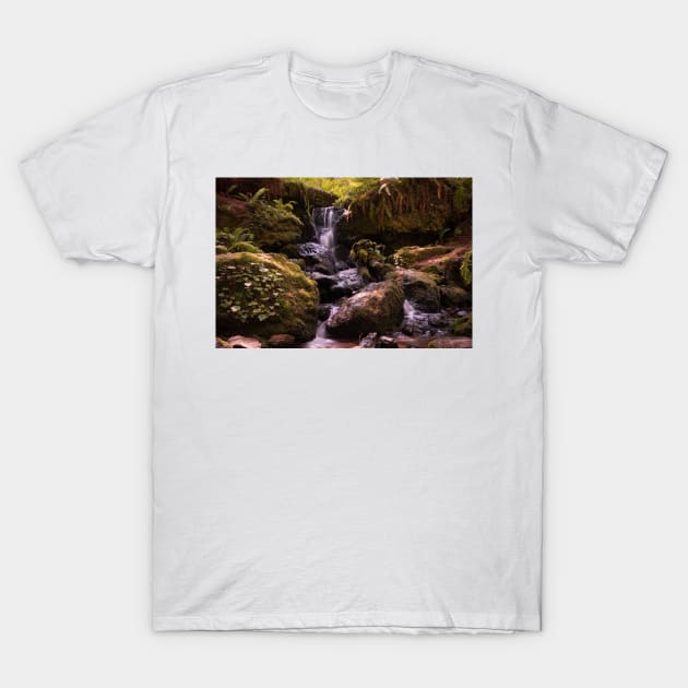 Long exposure of Trillium Falls T-Shirt by blossomcophoto